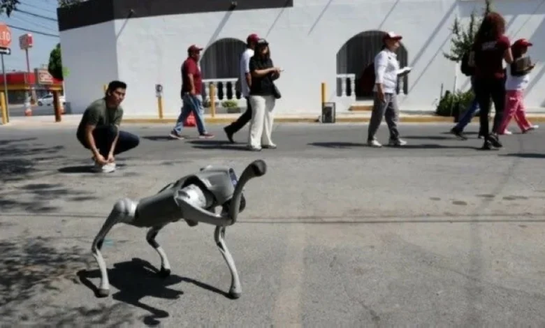 أمن مونديال 2026: المكسيك تعتمد الكلاب الآلية لحماية الملاعب